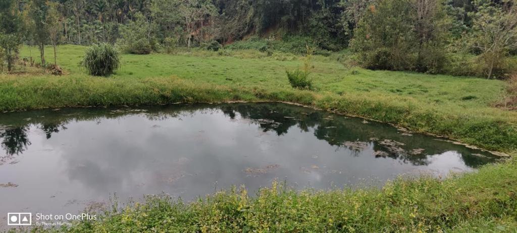 La Paz Coorg Homestay At Madikeri Town Eksteriør bilde